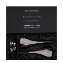 BloomEffects Black Tulip Cryotherapy Tools 8 BloomEffects Black Tulip Cryotherapy Tools -Eskinstore Sales Store Black Tulip Cryotherapy Tools add3 71934 8466 general