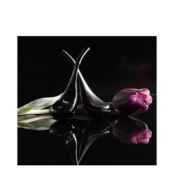 BloomEffects Black Tulip Cryotherapy Tools 5 BloomEffects Black Tulip Cryotherapy Tools - Image 5